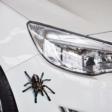 Load image into Gallery viewer, CRP3768.jpg@6835d54c8a5b743ee23d2335e3610822
