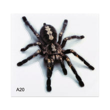 Load image into Gallery viewer, CRP3768_1.jpg@aa4fba9db3435e92ef4e45a551a998cb
