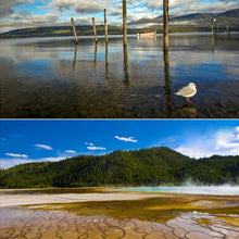 Load image into Gallery viewer, DCA0061_8.jpg@53040eeeb1ee190c3318b67e7f023a0f
