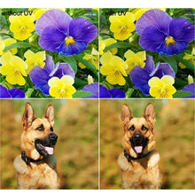 Load image into Gallery viewer, DCA0062_8.jpg@5143fb28c3ea27913e53d187ba889b76
