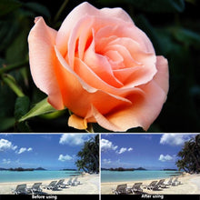 Load image into Gallery viewer, DCA0062_9.jpg@4511d06892fc3e7d06f2a9eb23d4cf12
