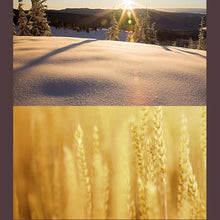 Load image into Gallery viewer, DCA0666_8.jpg@5a97358d9ac7975f1fd8822f161ab592
