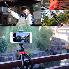 Load image into Gallery viewer, DCA0695_11.jpg@243ac82460e019f8092472038b79a7be
