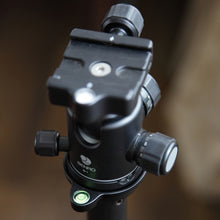 Load image into Gallery viewer, DCA0816_4.jpg@3fe1074d6a0b9821c5f3d4f7dfe8f33b
