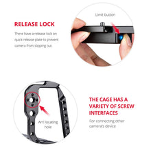 Load image into Gallery viewer, DCA0920B_12.jpg@76a47e84c7c9323d8e185ffdf469542a
