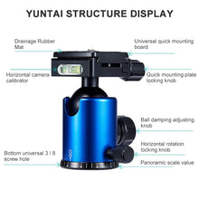 Load image into Gallery viewer, DCA1151_7.jpg@ba7c1369951b26f4d38fa22ceebb365d
