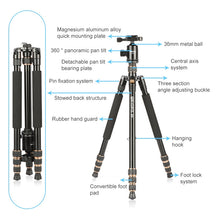 Load image into Gallery viewer, DCA1155_4.jpg@32eb12887d5801e1248814ca514ef45d
