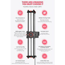 Load image into Gallery viewer, DCA1391B_2.jpg@5c64f99c7d9673708de08fe7fd21c3e9
