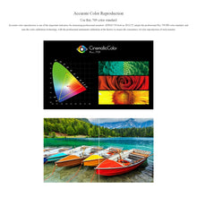 Load image into Gallery viewer, DCA1819_B5.jpg@422348eb0ec7d16ea1f5a3a4a755cd92
