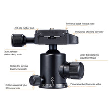 Load image into Gallery viewer, DCA2168_8.jpg@3c6c11cd4cf03991e10f0fdf1e994c28
