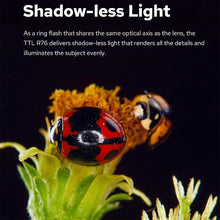 Load image into Gallery viewer, DCA2270_6.jpg@e1ecbd26e975ed1607fe4f70afe554ad
