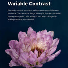 Load image into Gallery viewer, DCA2271_7.jpg@06a89c2a816088d0e413ad91312be5c6
