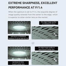 Load image into Gallery viewer, DCA4829B_9.jpg@cf5fb0f9c9cfb0cf63d678de49488fa9
