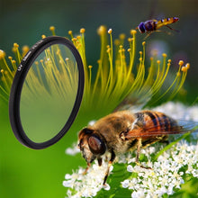 Load image into Gallery viewer, DCA5605_8.jpg@2984ccbea9e4d50ce25341d995da26cd
