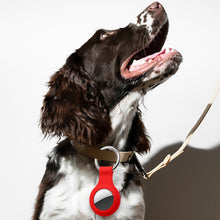 Load image into Gallery viewer, EDA001532301_B5.jpg@08f80ccb306c77a1c9305fb14adfebee
