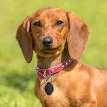 Load image into Gallery viewer, EDA001712901_B2.jpg@64e1fbfce50c320721cbc29ca45cbb59
