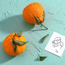 Load image into Gallery viewer, EDA002239801E_1.jpg@e2297b5053962a6a54081a9ec961dc09
