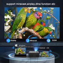 Load image into Gallery viewer, EDA0048662_B2.jpg@d966349927040d49e55489d9230d4d63
