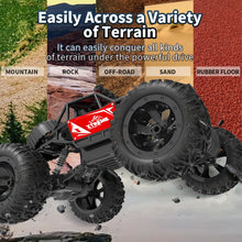 Load image into Gallery viewer, EDA0049293_B5.jpg@409f23d458ed581b836229d5ee388f3c
