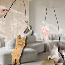 Load image into Gallery viewer, EDA0049946_4.jpg@51212583b615cedfe5ac6d485a1453c9
