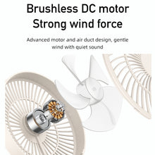 Load image into Gallery viewer, EDA0051970_B3.jpg@ecb63f058fc288b0c9e1879aa9e137ff
