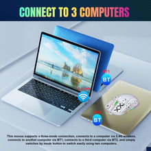 Load image into Gallery viewer, EDA0052290_B3.jpg@75362cff5381453283f6ff7ebfe6e5d5
