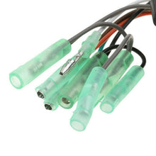 Load image into Gallery viewer, EDA0054999_3.jpg@51a5e7d9597f7c9593db8cfdad1cd1d2
