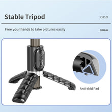 Load image into Gallery viewer, EDA0056364_B6.jpg@2992eb69a04db642c86c585de67fcc3c
