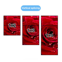 Load image into Gallery viewer, EDA0062609_B6.jpg@6f9178d353128ba59ed2b1277cc4959b
