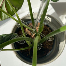 Load image into Gallery viewer, EDA006587601A_4.jpg@73c7cc46b19cebd9f7d0131a5f18597d
