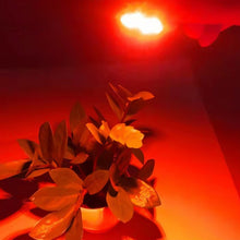 Load image into Gallery viewer, EDA007299701B_4.jpg@ff214fa6efd69c9b75286654f164f1d4
