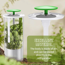 Load image into Gallery viewer, EDA0073731_B4.jpg@08e4e1092afa756c15930a5528e05a3b
