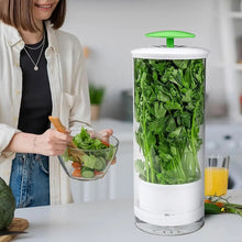 Load image into Gallery viewer, EDA0073731_B6.jpg@d5981126200466b19f1d5fe59f158e24
