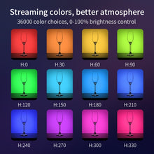 Load image into Gallery viewer, EDA007390001A_3.jpg@4a438934cefe652d62c60de18b1d1db3
