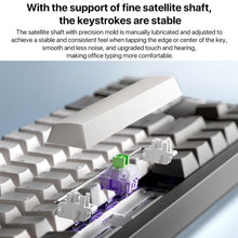 Load image into Gallery viewer, EDA0078740_B5.jpg@b7baa5d2949d3b54a0369c4fbac29414
