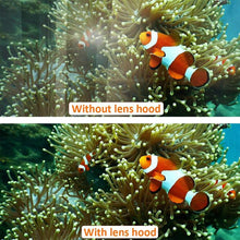 Load image into Gallery viewer, EDA007923201A_5.jpg@70396227439623d4f4072e995c63ed1a
