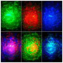 Load image into Gallery viewer, EDA008097801A_6.jpg@6b33cfdd54b6d19f544a6d268f86fa25
