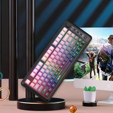 Load image into Gallery viewer, EDA0081607_B17.jpg@f71021736462292f295bd836de91bb2e
