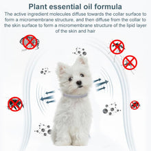 Load image into Gallery viewer, EDA0082195_B3.jpg@1424cea4e0c7c6554f79933596b70e72
