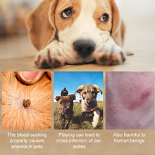 Load image into Gallery viewer, EDA0082195_B6.jpg@7610331c2e8fd5be96701e75c95ae117
