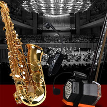 Load image into Gallery viewer, EDA008264301A_3.jpg@7050cab872ef2f52259c001aa61479e2
