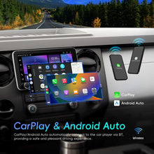 Load image into Gallery viewer, EDA0083077_B1.jpg@72363a21b2483fb7b896e0ff2688c71c
