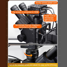 Load image into Gallery viewer, EDA0083095_B7.jpg@dfef400bb874eda9fbd7bbac9bb035d5
