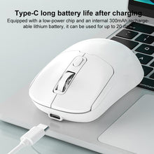 Load image into Gallery viewer, EDA008383401_B3.jpg@87ed069638b4a031e93ee047e9f820d0
