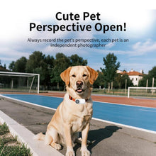 Load image into Gallery viewer, EDA008467202A_14.jpg@982593f1aa7bf6bc5a43e3d12911c5fa
