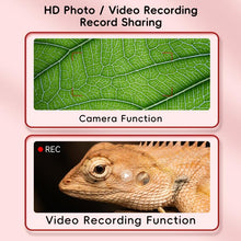 Load image into Gallery viewer, EDA0093282_B7.jpg@abcd56567c7484789b8644adfdf162f6
