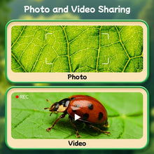 Load image into Gallery viewer, EDA009330101A_13.jpg@d11eb507d7692526a4df78d6c9ef2971
