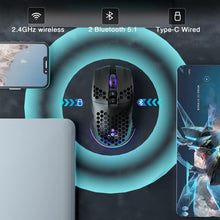 Load image into Gallery viewer, EDA009358501B_2.jpg@5e44bf45fd8bd136793a8fe0d73093ab
