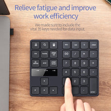 Load image into Gallery viewer, EDA009585_8.jpg@7d6d6636a9b542b022904e3666b4decc
