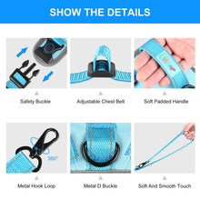 Load image into Gallery viewer, FA3001L_3.jpg@e8d3b9b8f5a45eb8471ae9155e809d65
